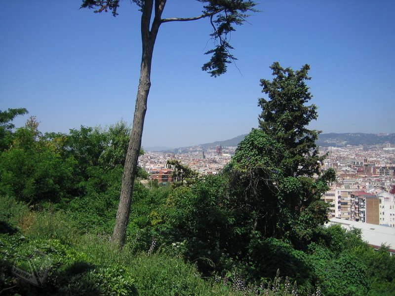 Calella 2010_4486.JPG